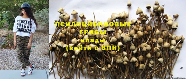 кокс Богородицк