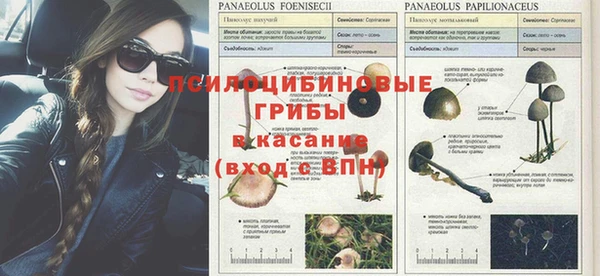 метадон Бородино