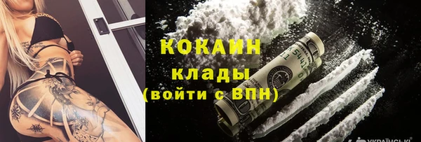 первитин Богданович