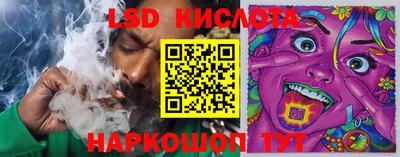 амф Новозыбков