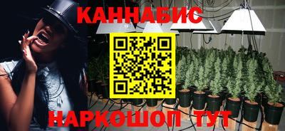 амф Новозыбков