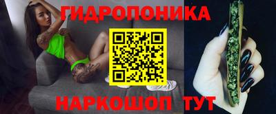 ешки Новодвинск