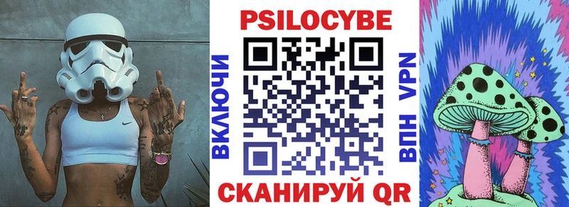 Псилоцибиновые грибы Psilocybe  Свободный 